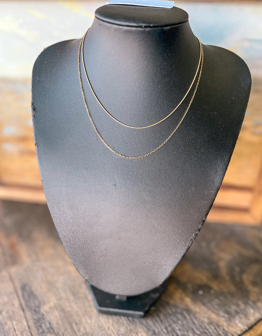 Double Layered Necklace
