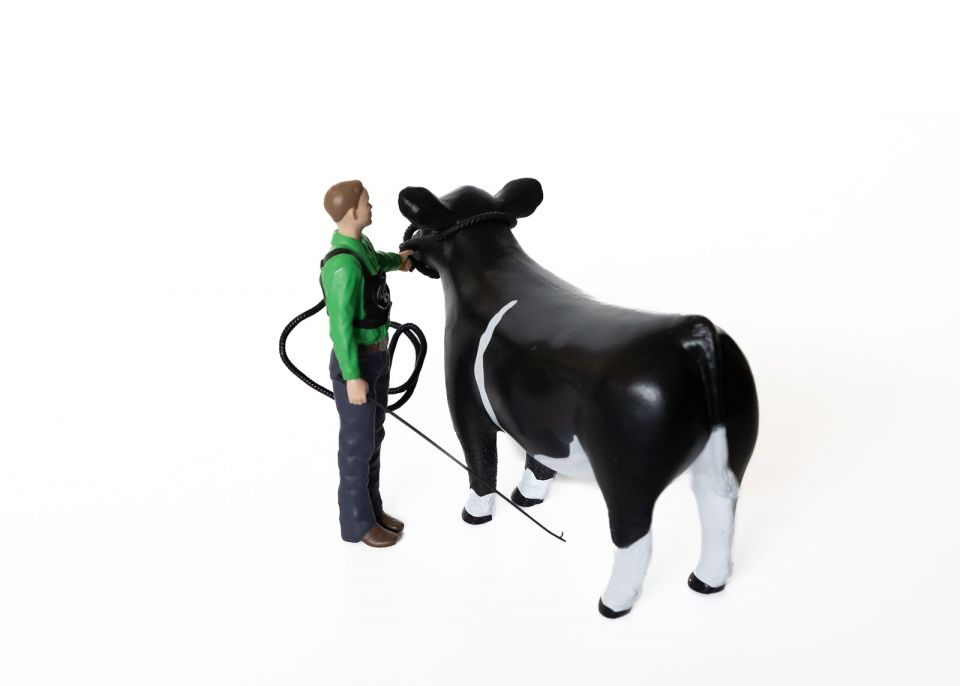 Cattle Showman Kit: Boy Figurine & Rope Halter