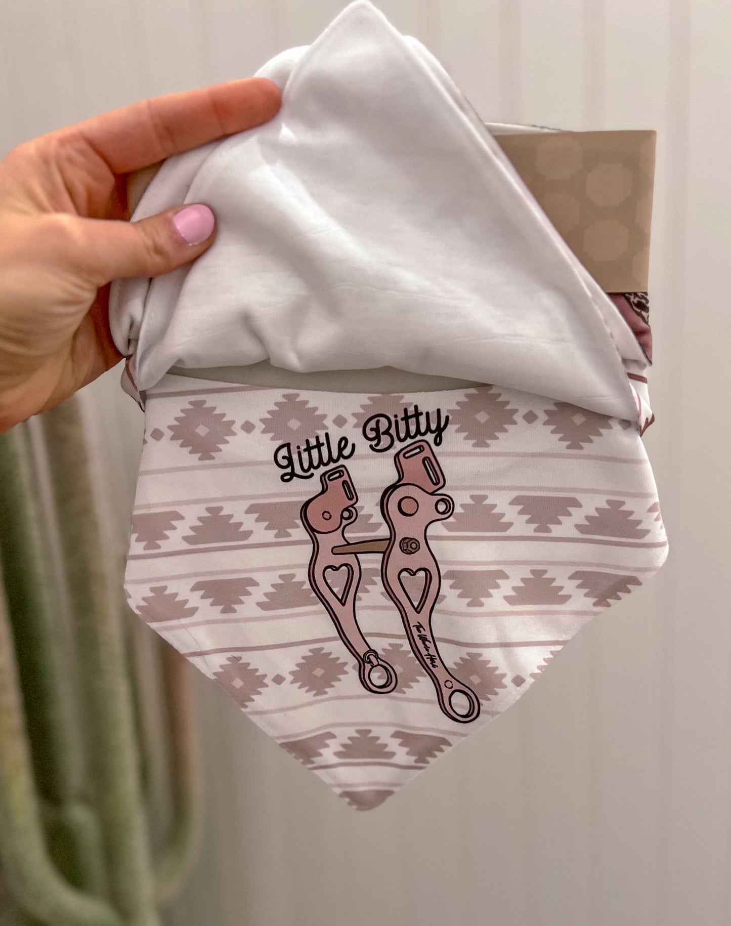 Vintage Cowgirl Bib Set