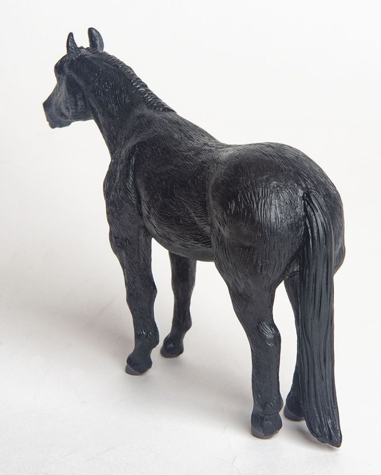 Quarter Horse Black