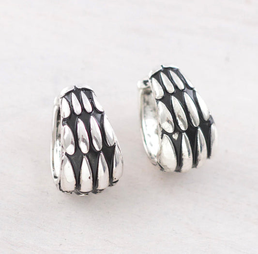 Western Hoop Earrings