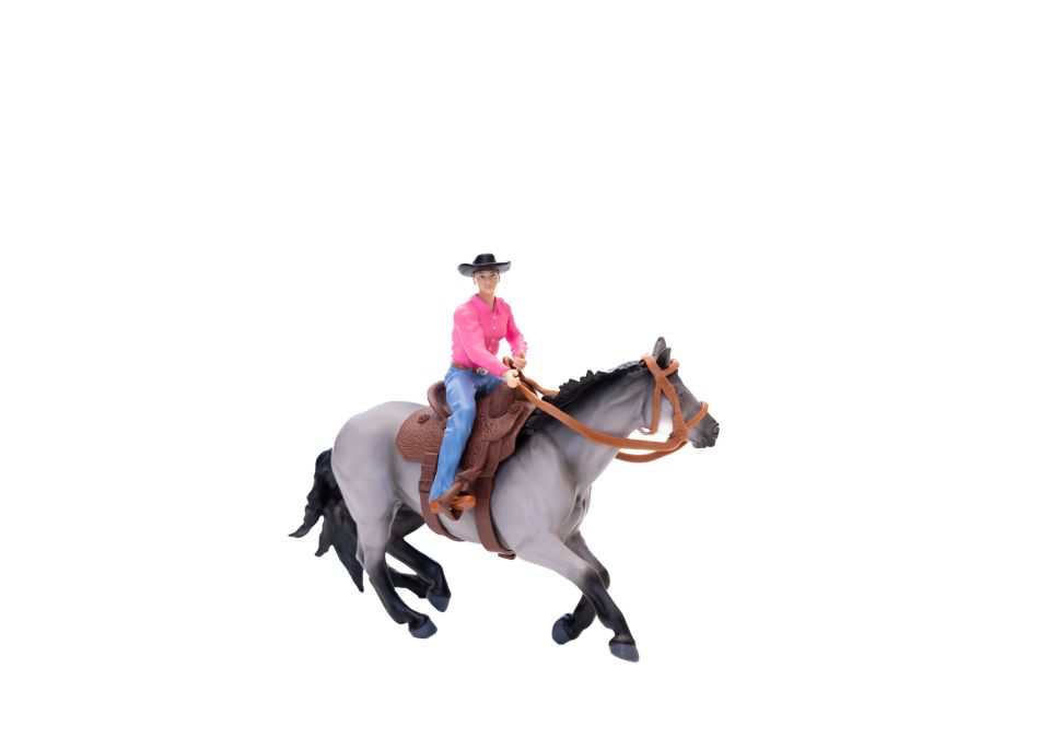 Barrel Horse Gray Gelding
