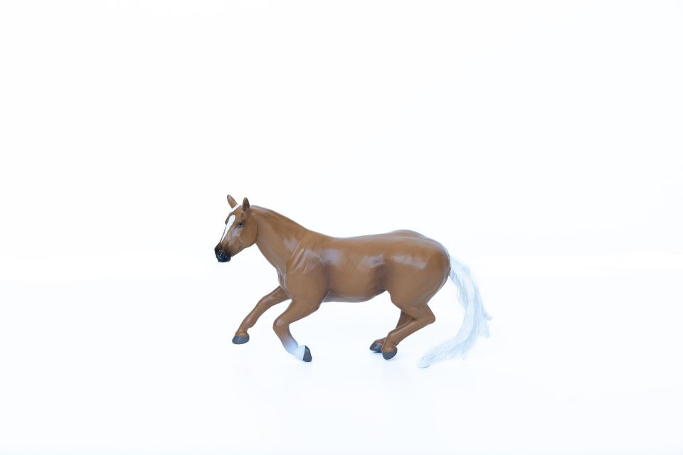 Barrel Horse Palomino