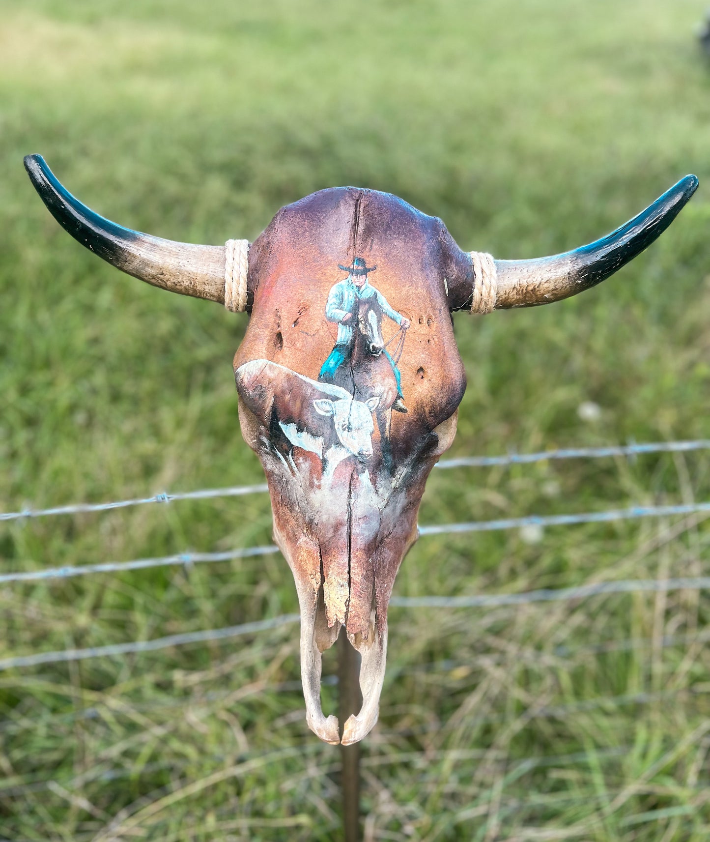 Handpainted Herding Hereford Cowskull