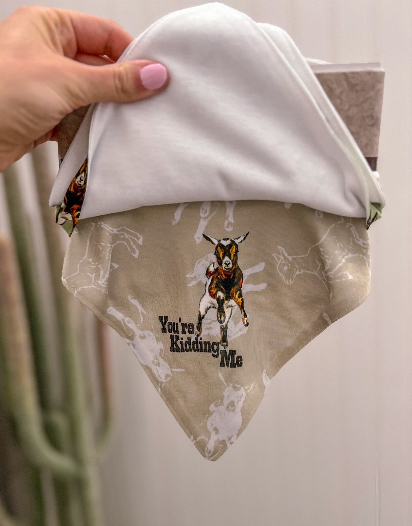 You’re Kidding Me Bib Set