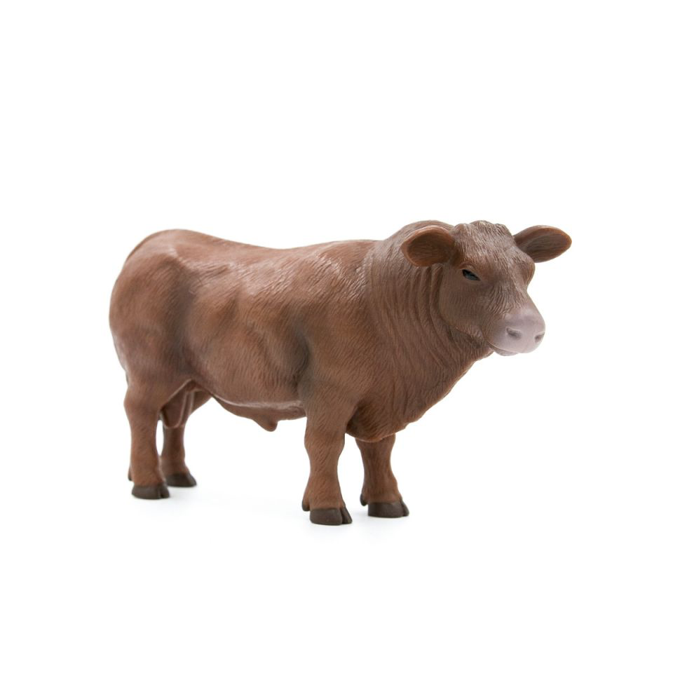 Red Angus Bull