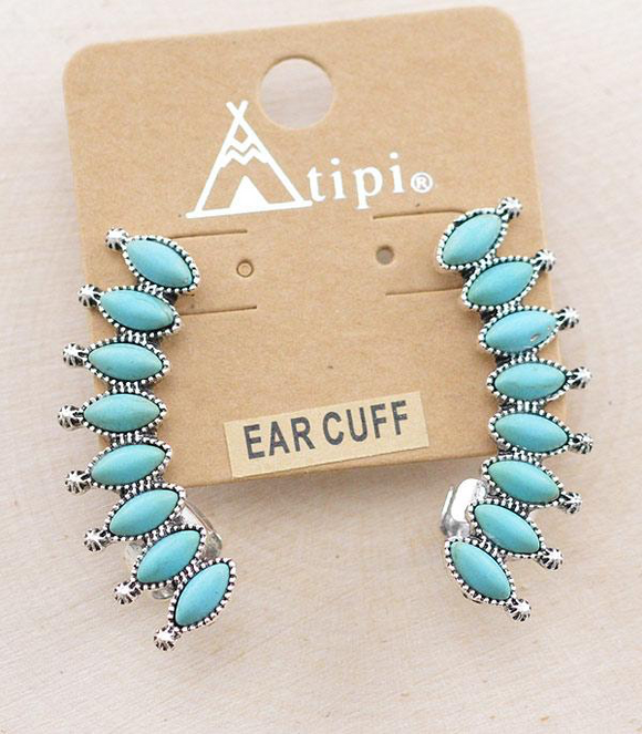 Ear Cuffs & Pins