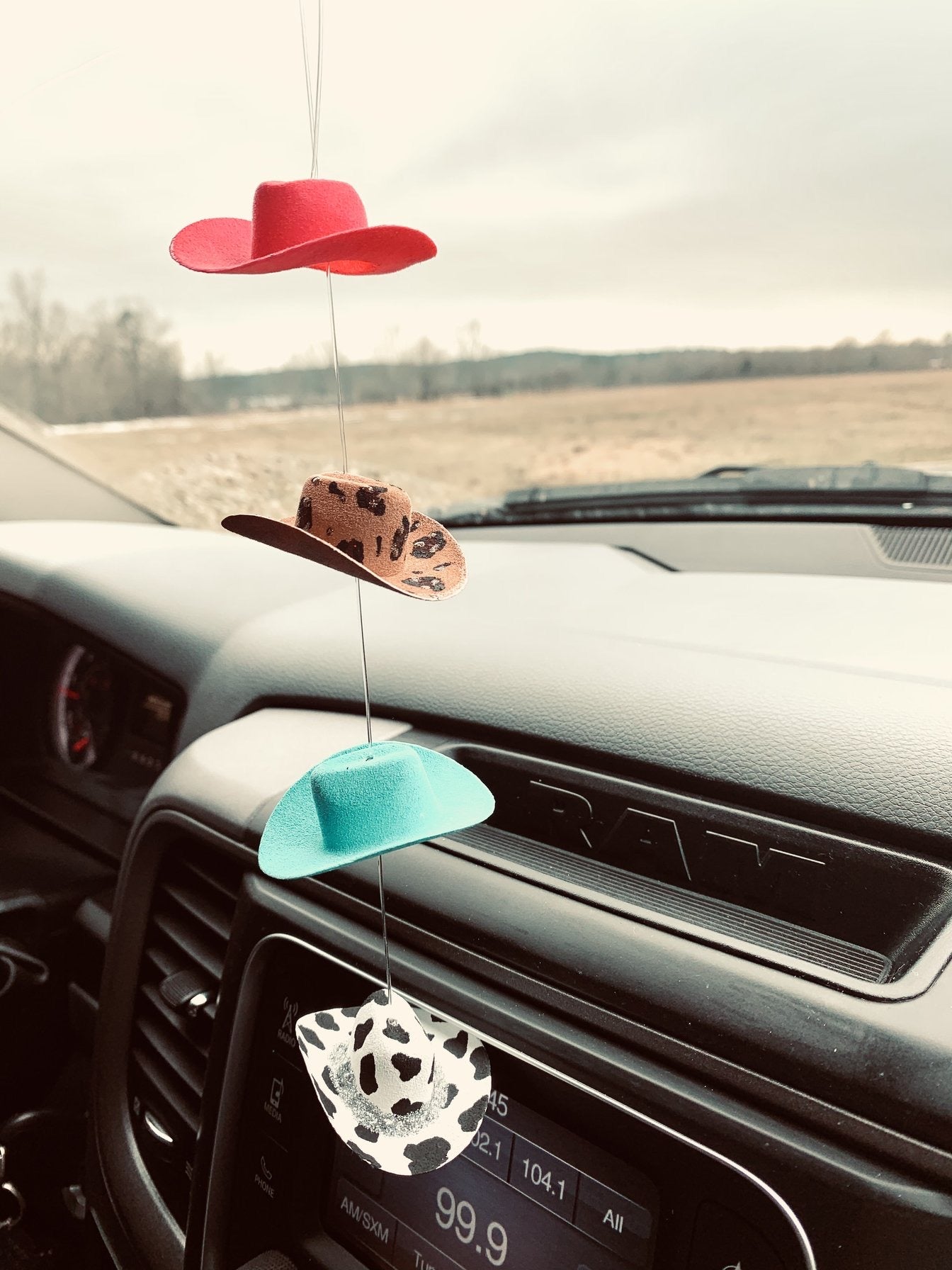 Freshies & Car Accessories