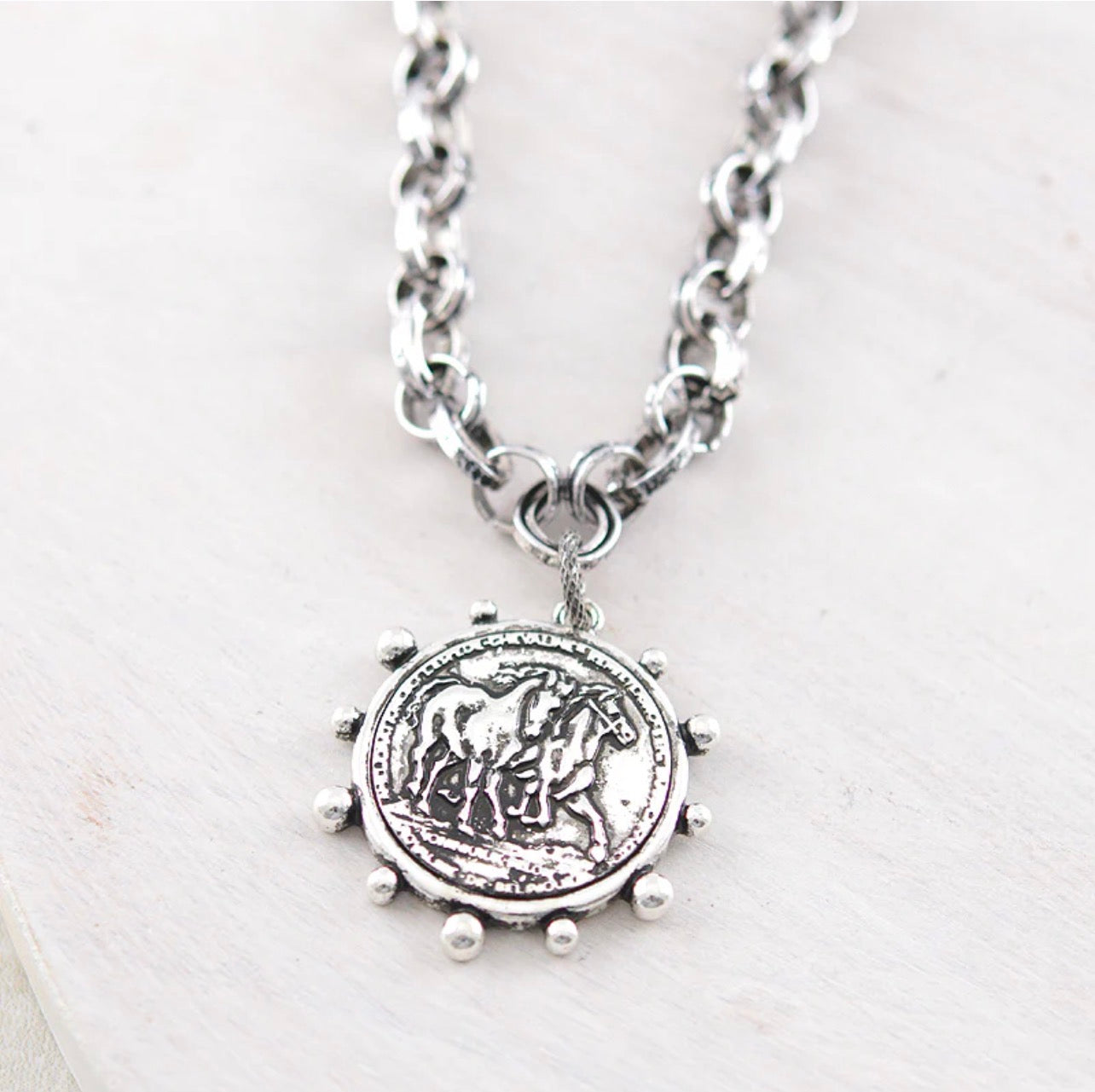 Western Horse Coin Chunky Chain Necklace