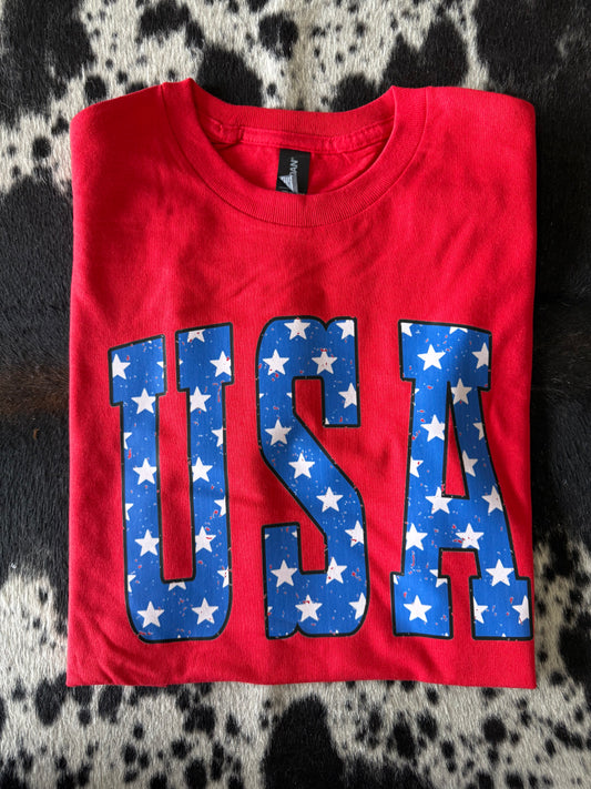 USA Vintage Red Graphic Tee