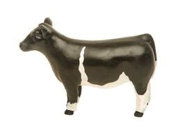 Champion Show Steer Crossbred Black & White