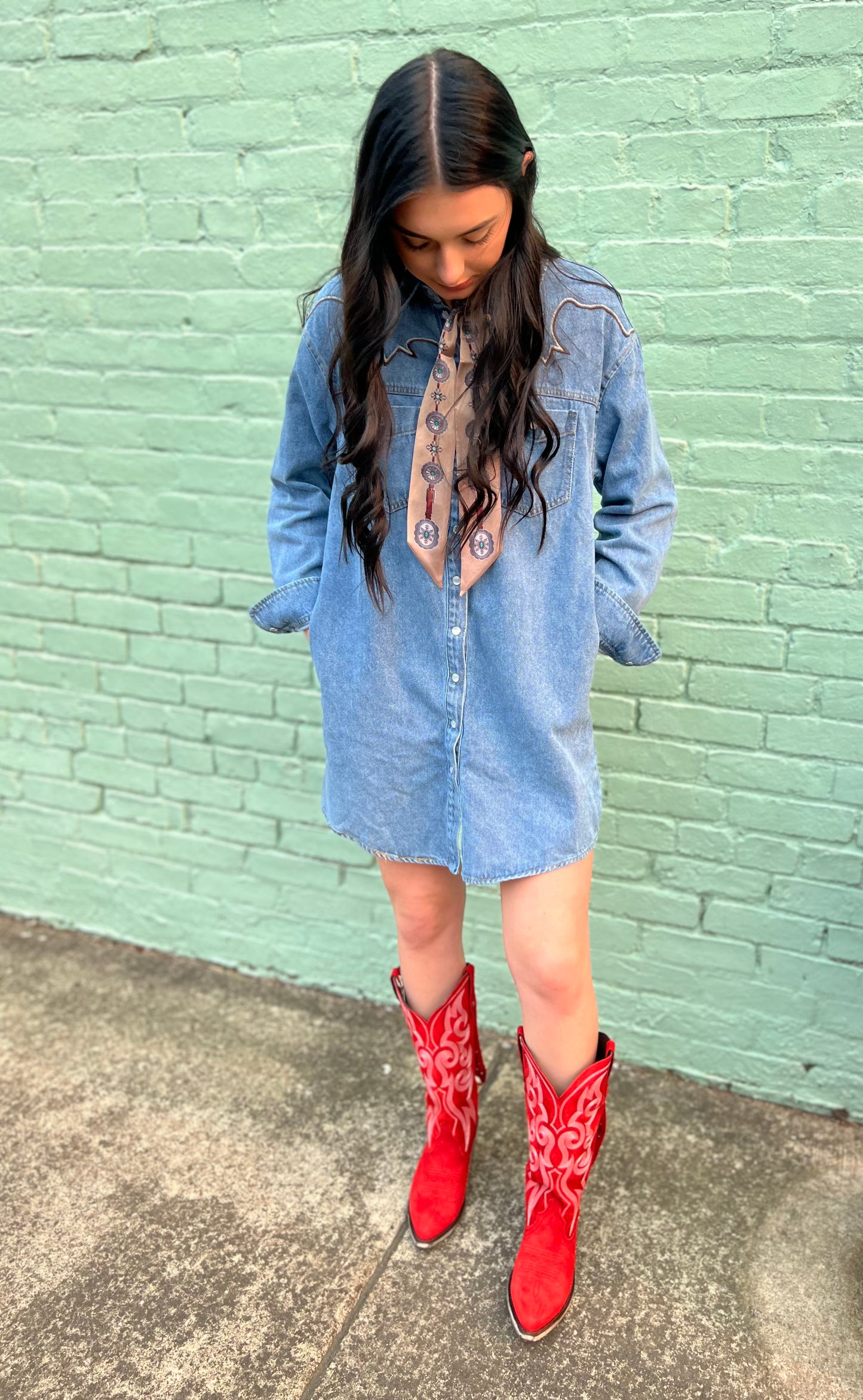 Bootstitch Denim Mini Dress