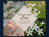 Desperado Love Wax Melts