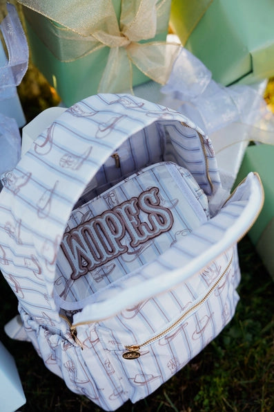 Wipes Case- Western Blues