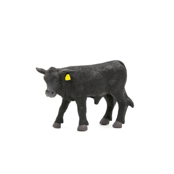 Angus Calf