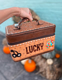 Lucky Travel Jewelry Case