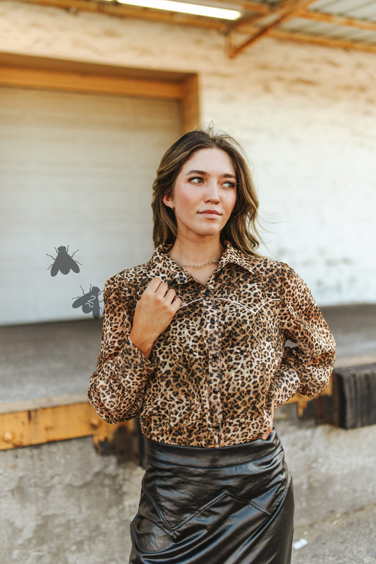 Western Wild *Leopard