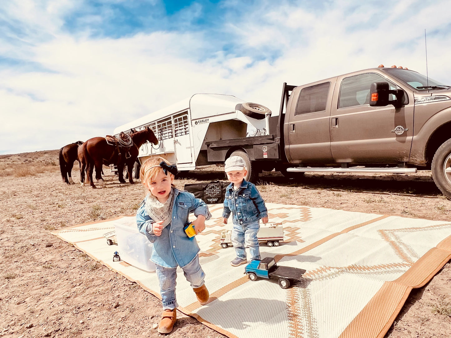 Alpine Ranch Rug 9ft x 12ft