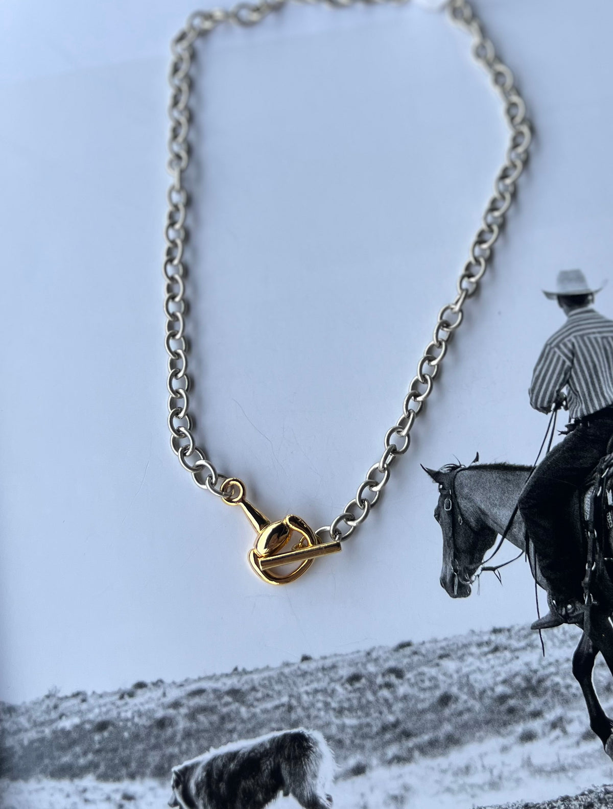 V2 Designs Gold Bit Toggle Silver Necklace