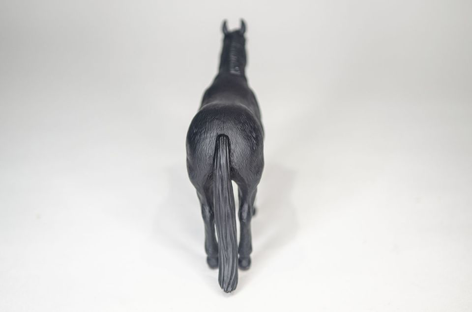 Quarter Horse Black