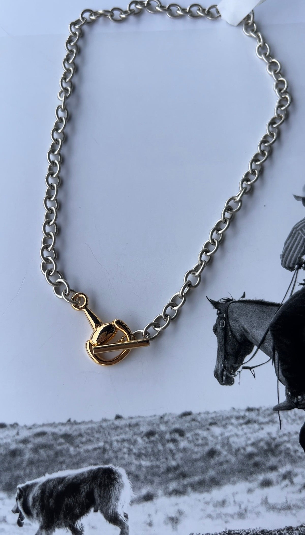 V2 Designs Gold Bit Toggle Silver Necklace