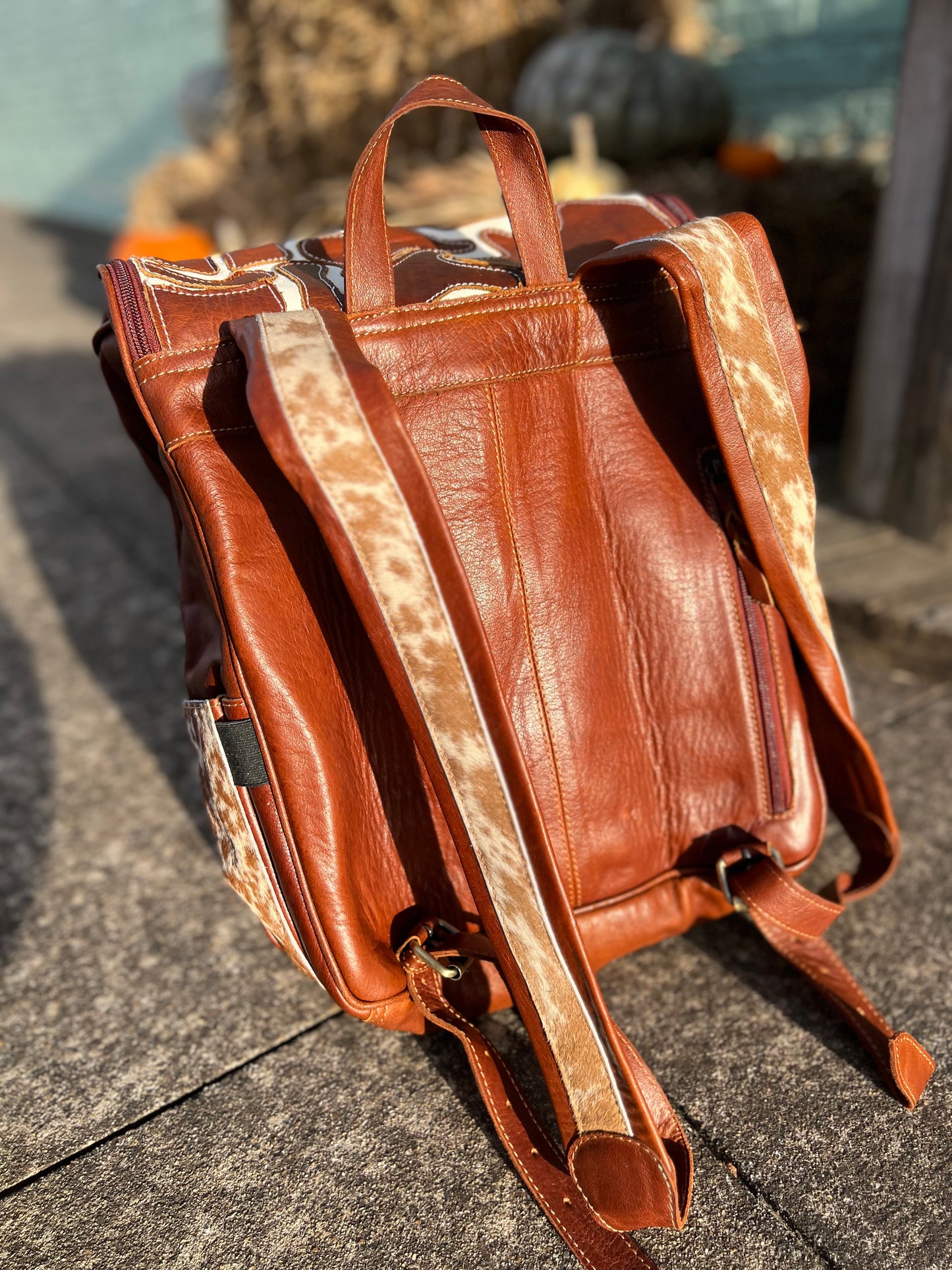The Drake Backpack/Diaper Bag