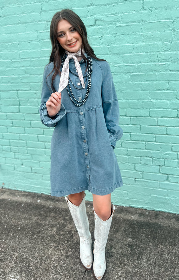 Desirae Denim Dress