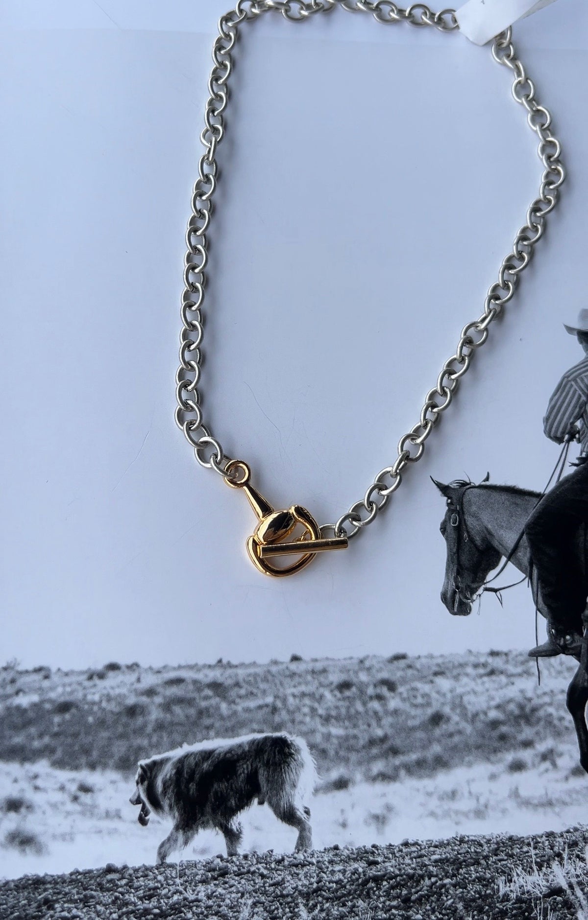 V2 Designs Gold Bit Toggle Silver Necklace