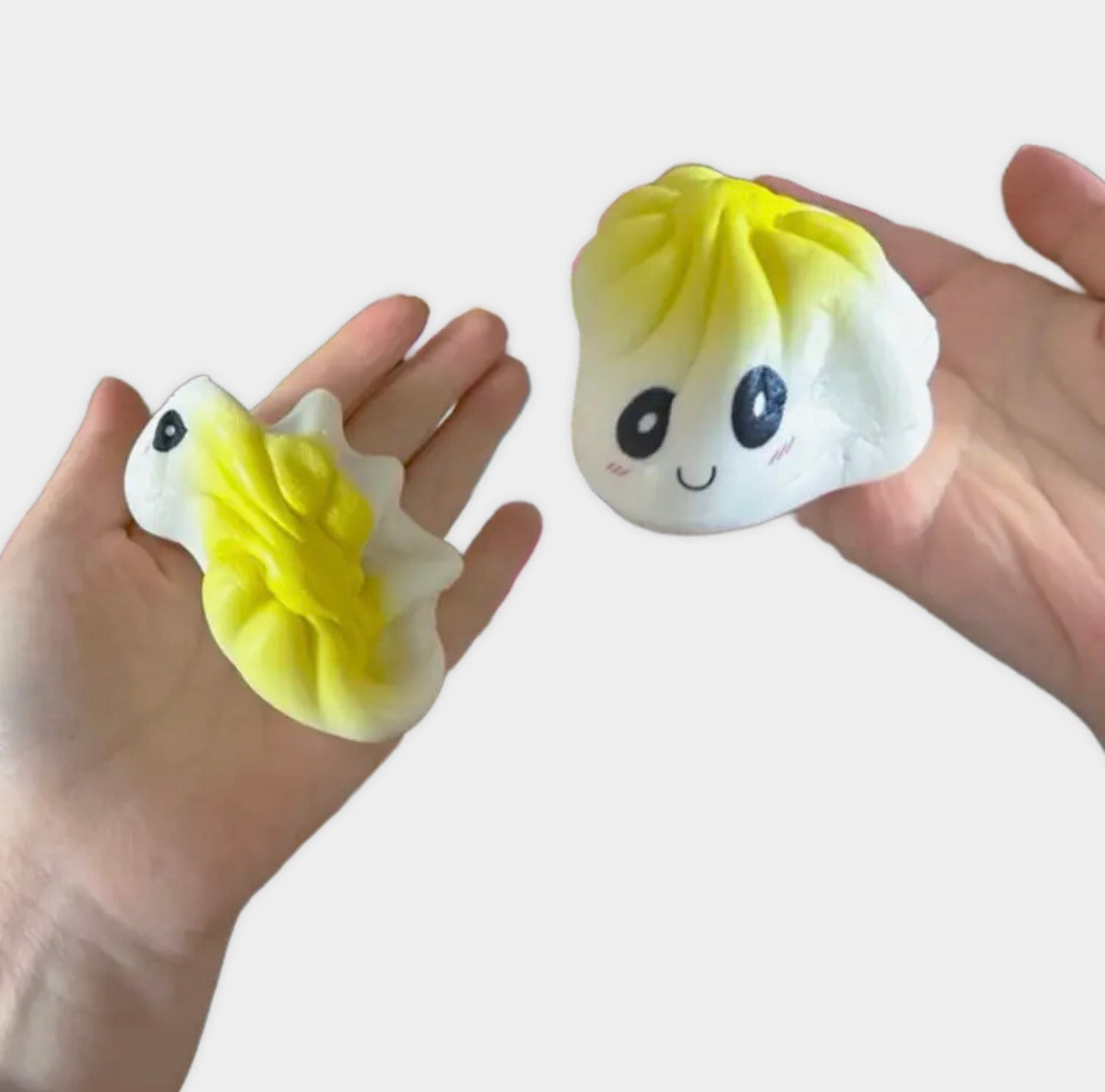 Slow Rise Mystery Dumpling