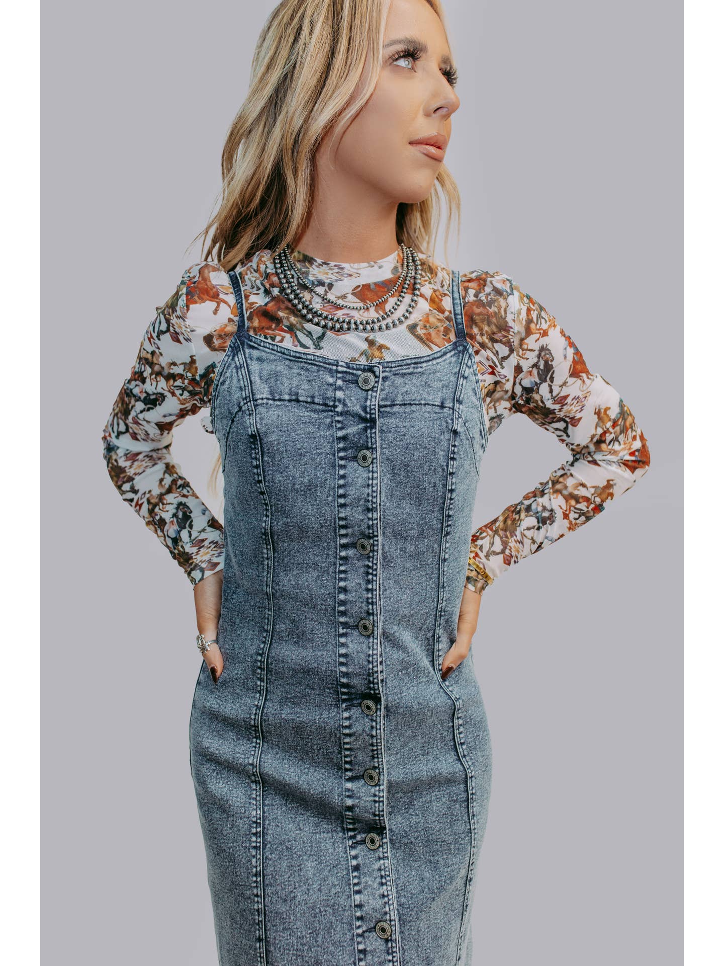 Ivey Denim Dress