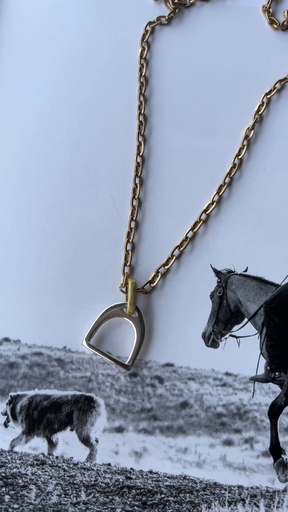 V2 Designs Gold Necklace with Silver Stirrup