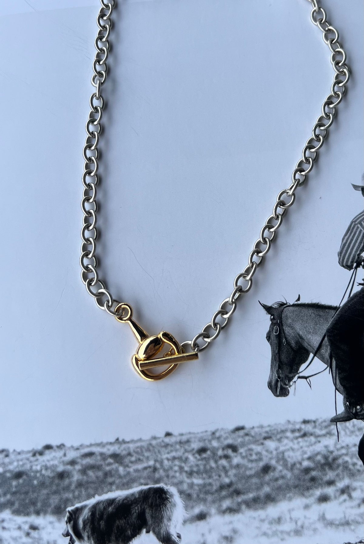 V2 Designs Gold Bit Toggle Silver Necklace