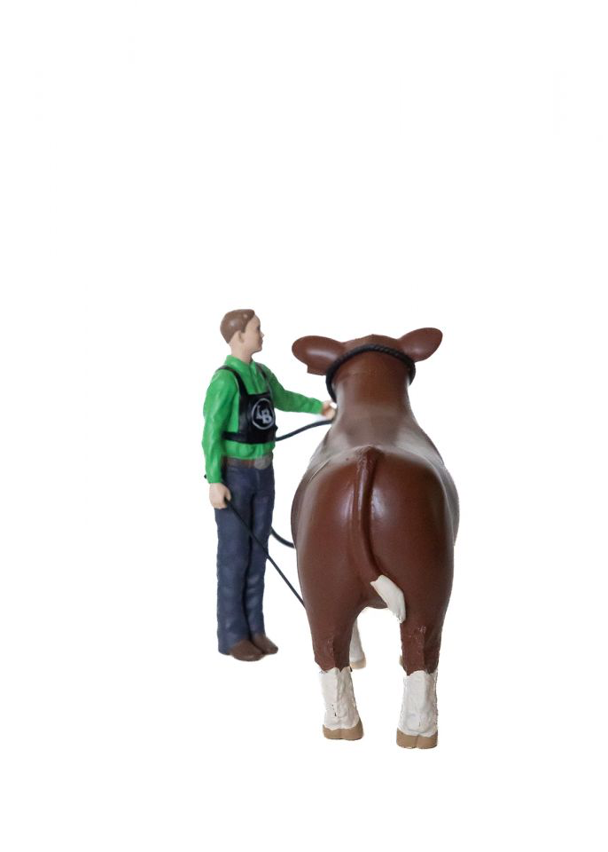 Cattle Showman Kit: Boy Figurine & Rope Halter