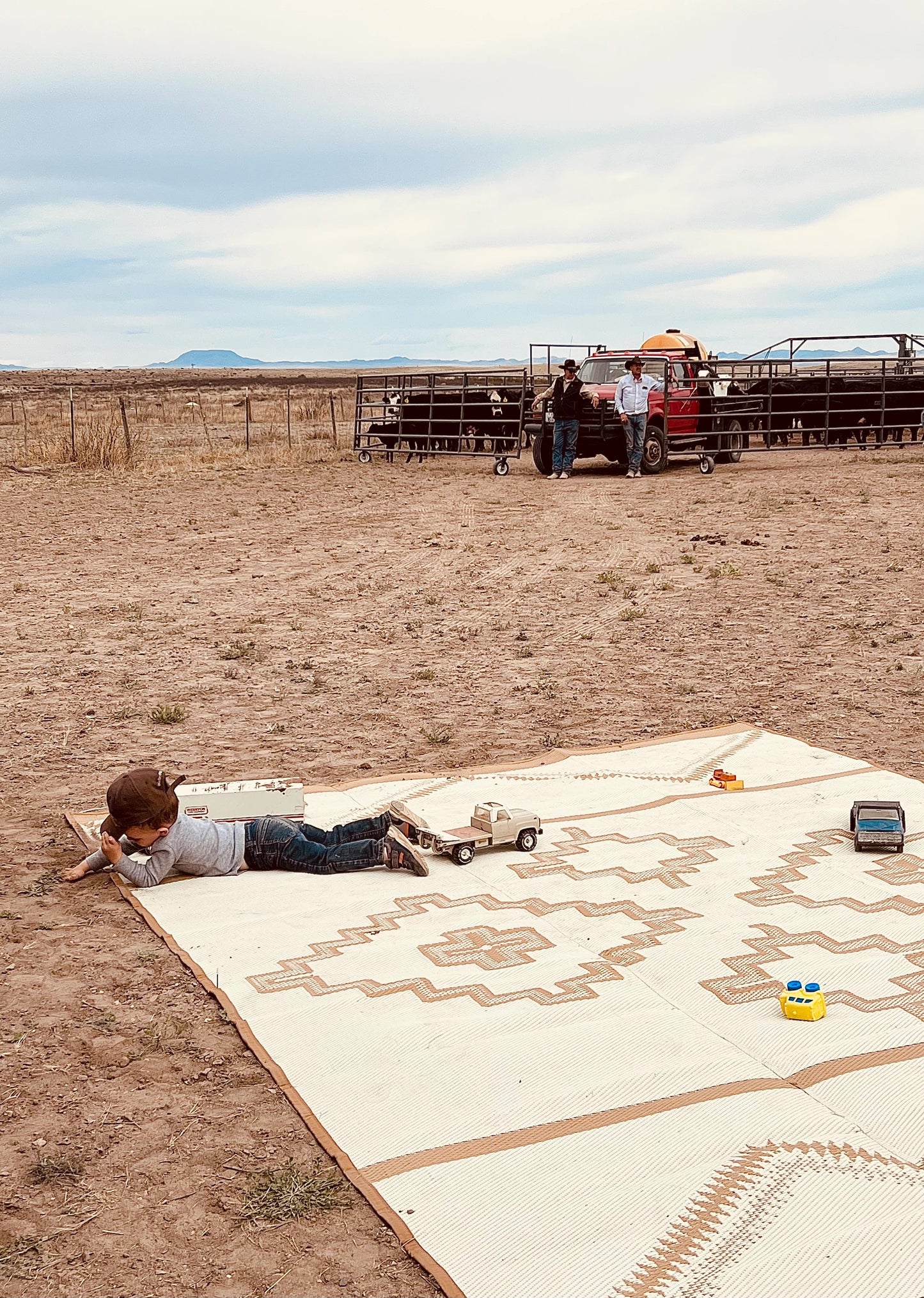 Alpine Ranch Rug 9ft x 12ft