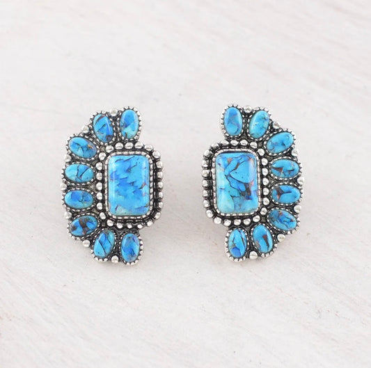 Semi Stone Cluster Earrings
