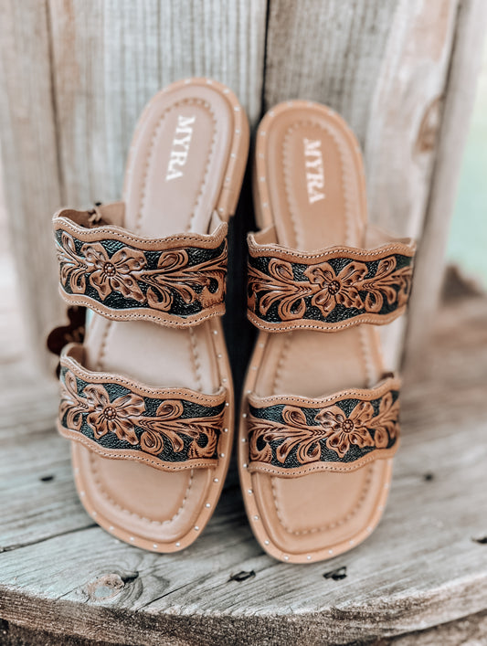 Santa Fe Daisy Slides