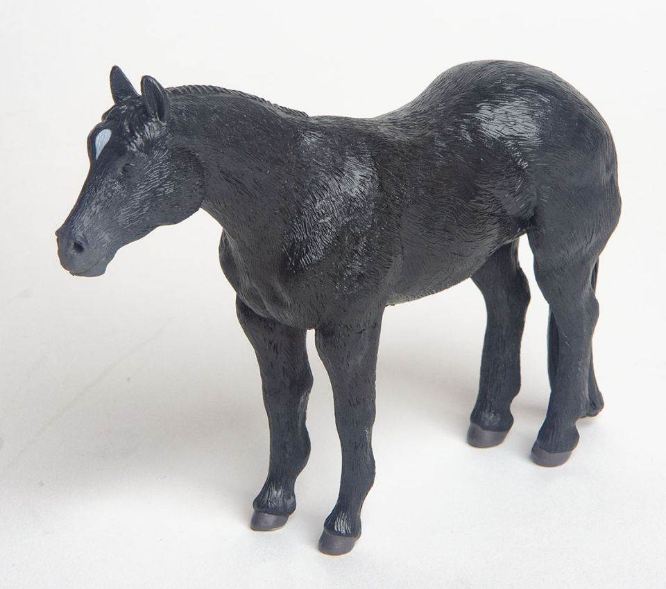 Quarter Horse Black