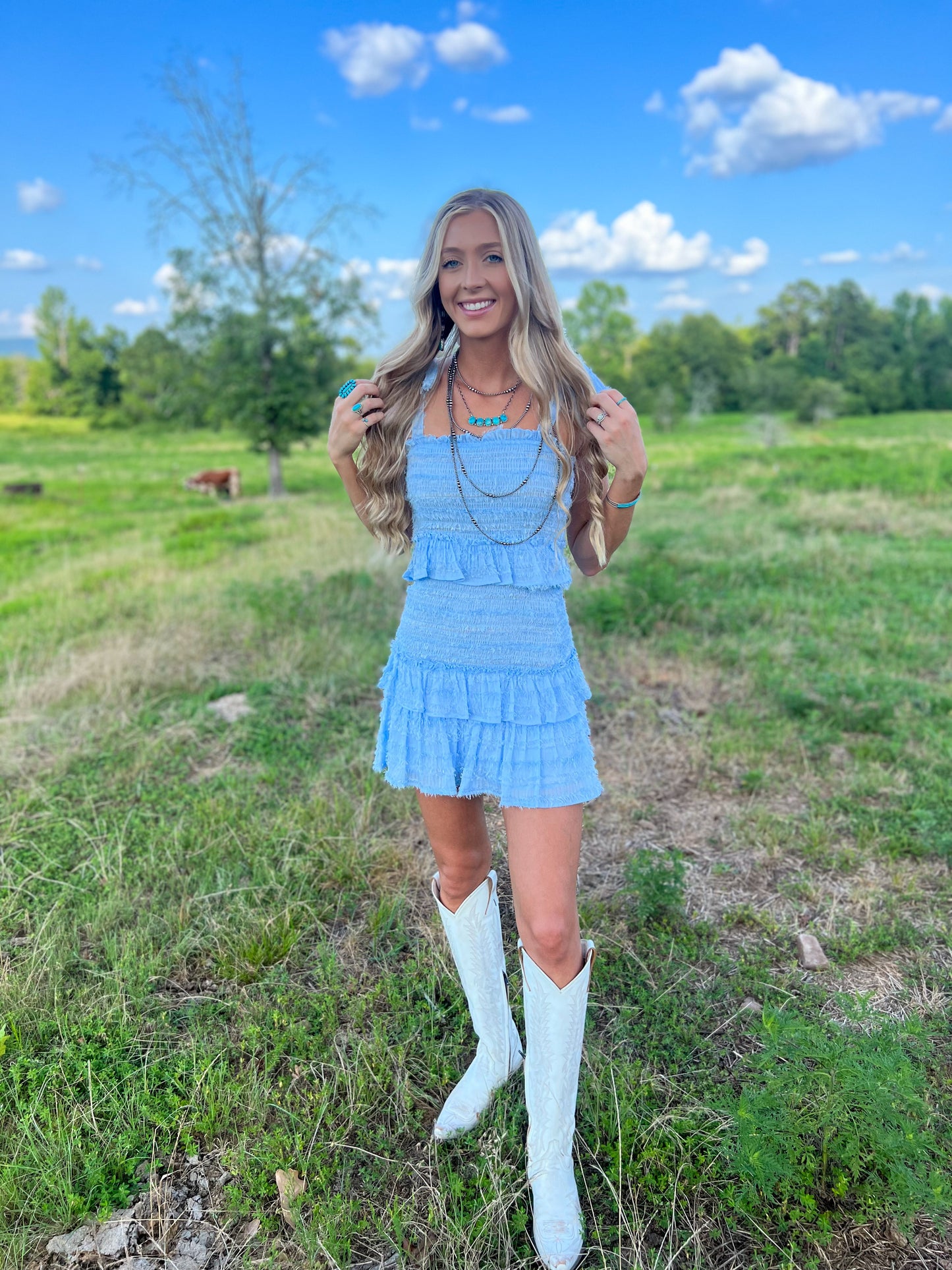 Baby Blue Smocked Ruffle Mini Dress