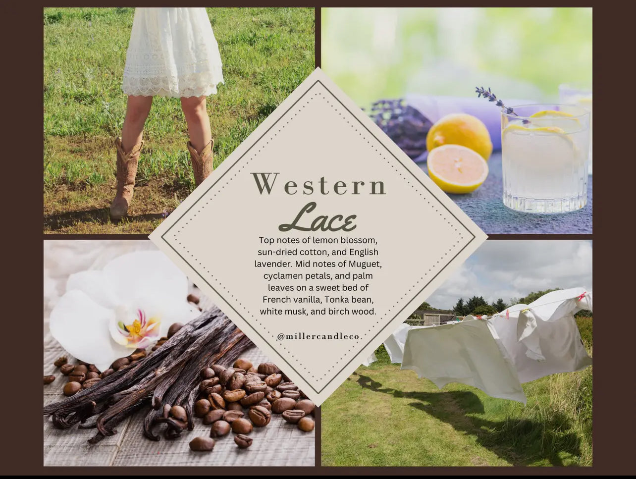 Western Lace Wax Melts