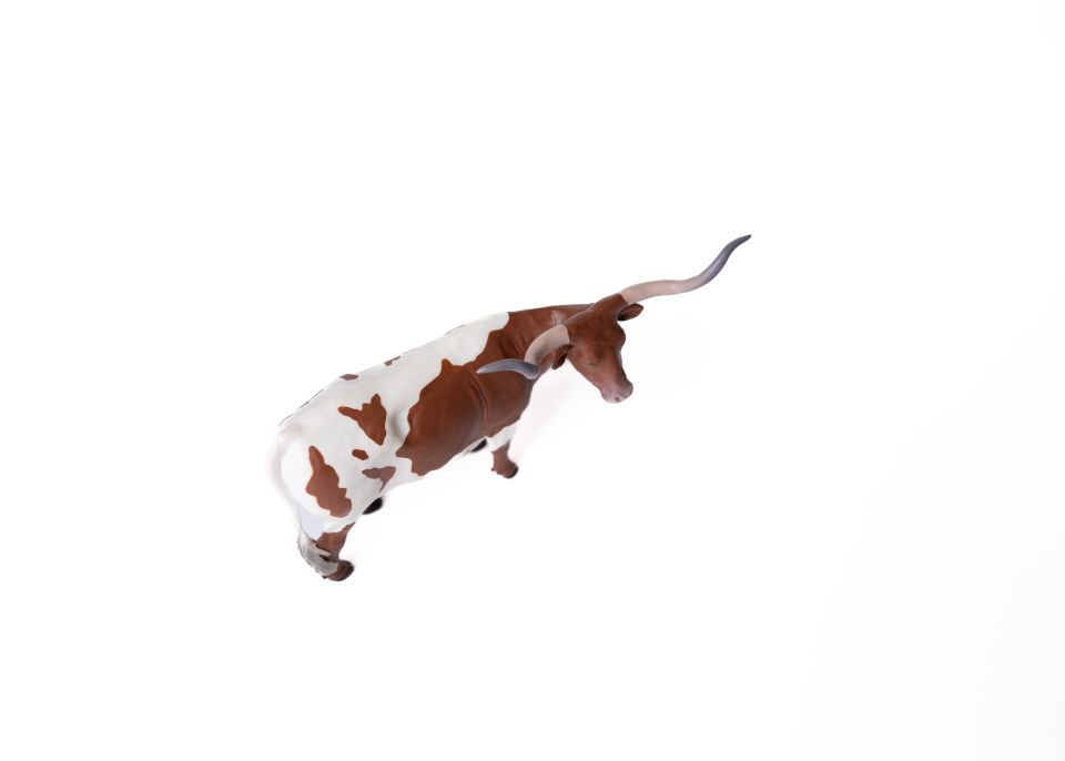 Texas Longhorn Steer *Red