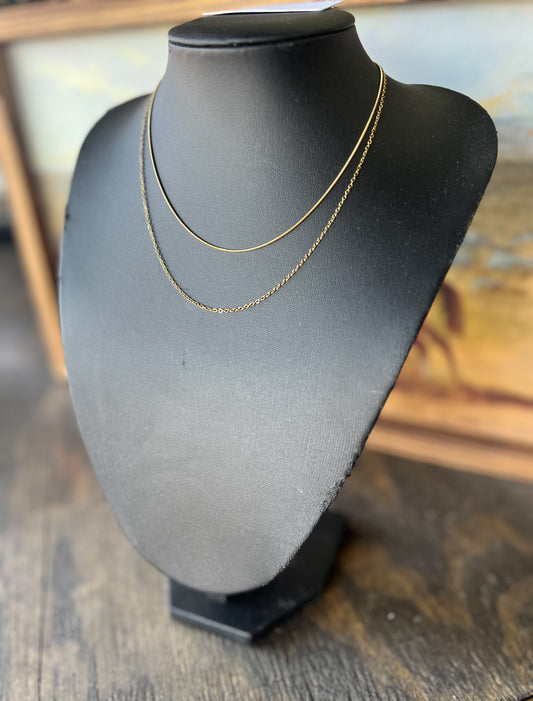 Double Layered Necklace