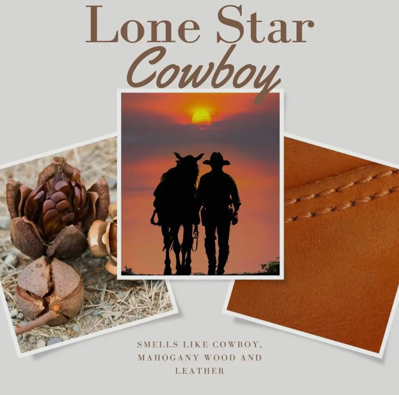 Lone Star Cowboy Wax Melts