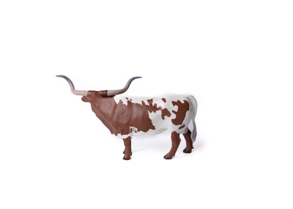 Texas Longhorn Steer *Red