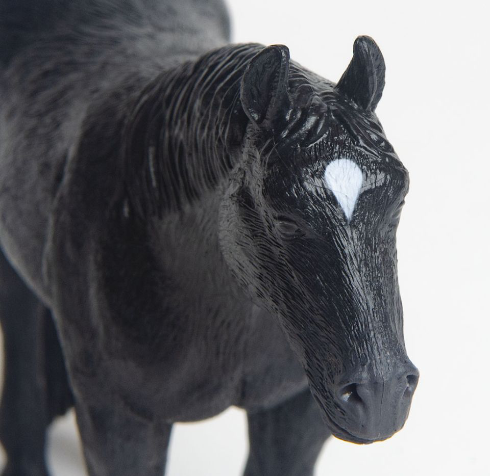 Quarter Horse Black