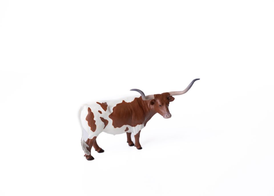 Texas Longhorn Steer *Red