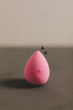 Punchy Beauty Blenders