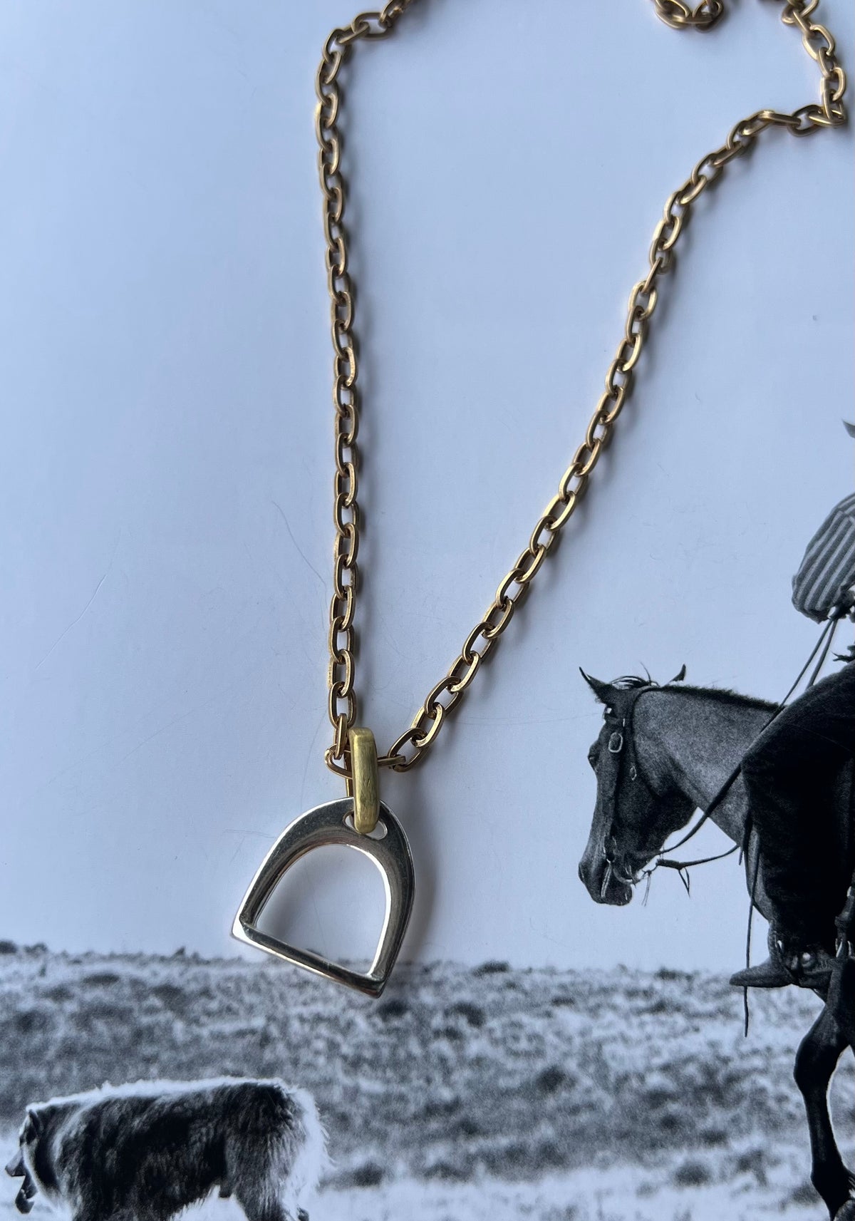 V2 Designs Gold Necklace with Silver Stirrup