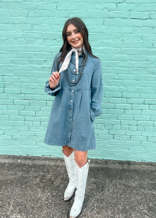 Desirae Denim Dress