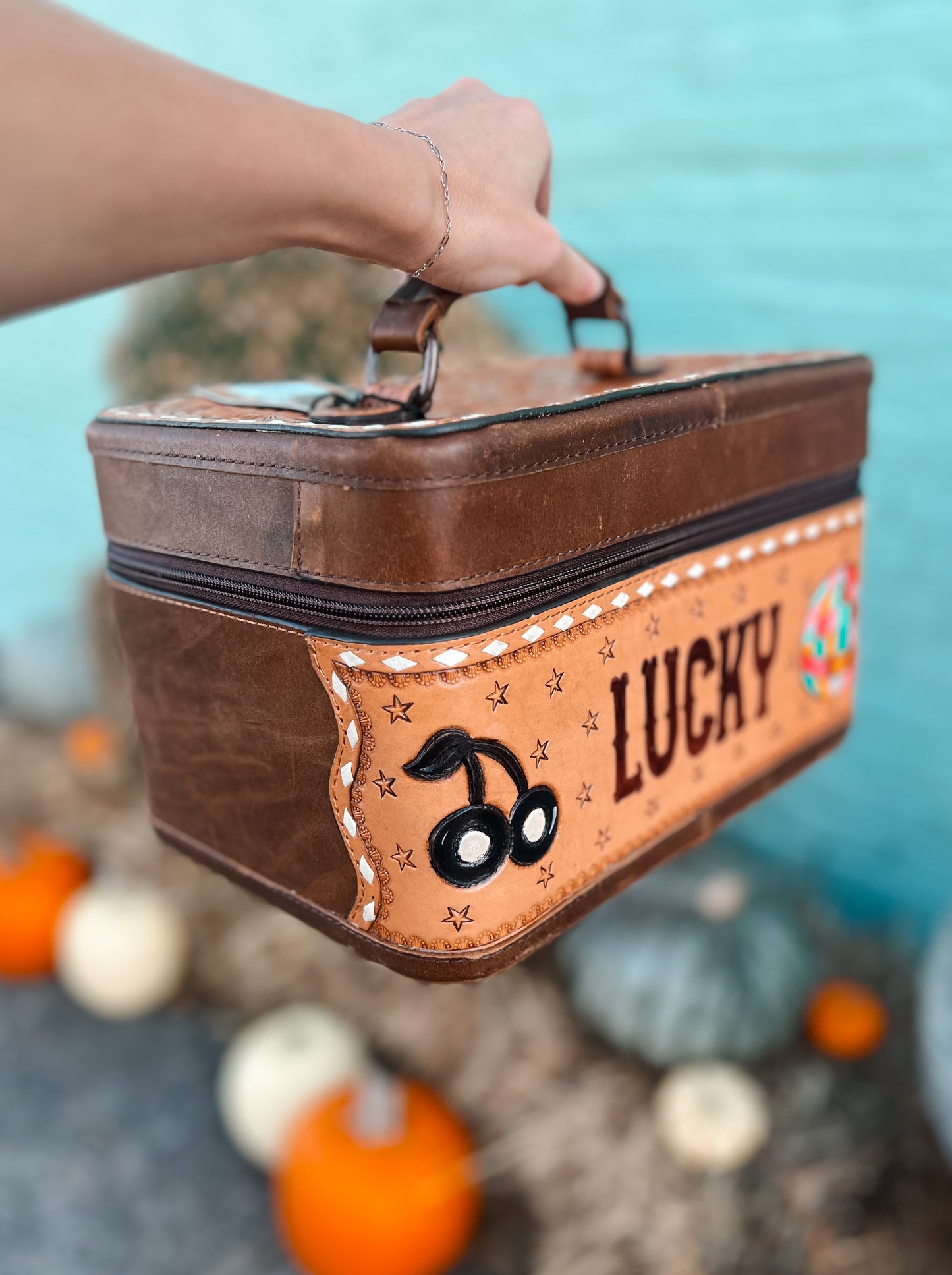 Lucky Travel Jewelry Case