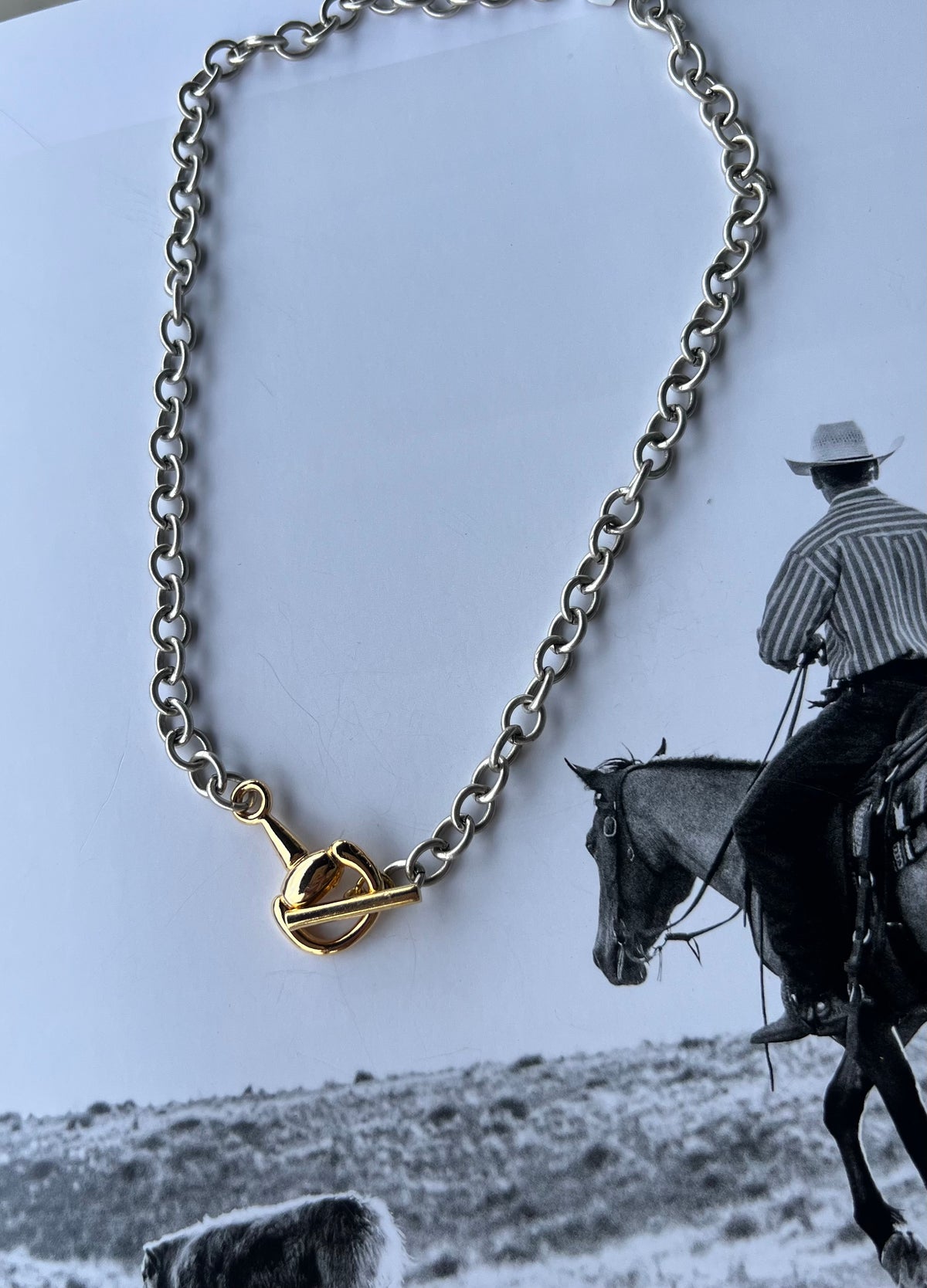 V2 Designs Gold Bit Toggle Silver Necklace
